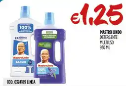 Carico Cash & Carry Mastro Lindo Detergente Multiuso offerta