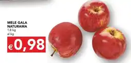 Esselunga MELE GALA NATURAMA offerta