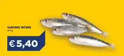 Esselunga SARDINE INTERE offerta