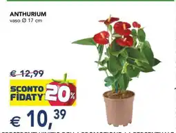 Esselunga ANTHURIUM offerta