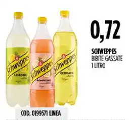 Carico Cash & Carry Schweppes bibite gassate offerta