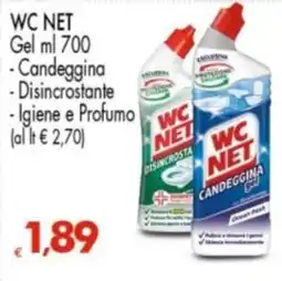 Despar WC NET Candeggina Gel offerta