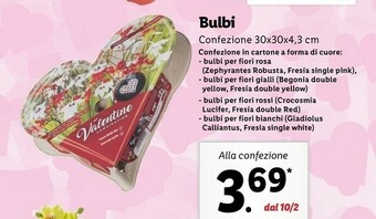 Lidl Bulbi offerta
