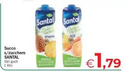 Eurospar Succo s/zucchero SANTAL offerta