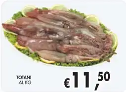 èccoMI Totani offerta