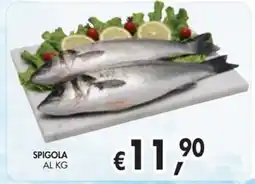 èccoMI Spigola offerta