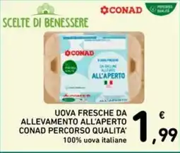 Spazio Conad Uova fresche da allevamento all'aperto CONAD Percorso Qualità' offerta