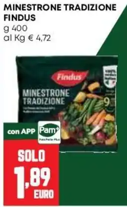 Pam Minestrone tradizione Findus offerta