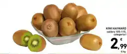 Spazio Conad Kiwi Hayward offerta