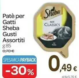 Carrefour Express Patè per gatti offerta
