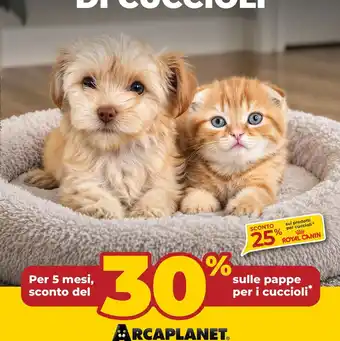 Arcaplanet pappe per i cuccioli offerta
