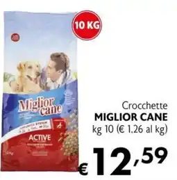 Maxi Supermercati Crocchette Miglior Cane Active offerta