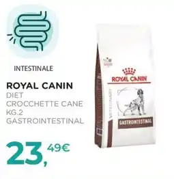 Arcaplanet Royal Canin Diet Crocchette Cane Gastrointestinale offerta