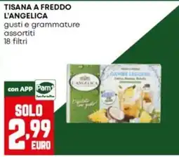 Panorama Tisana a freddo L'Angelica offerta