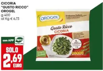 Panorama Cicoria Gusto Ricco Orogel offerta