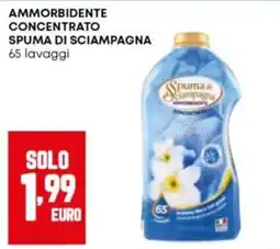 Panorama Spuma di Sciampagna ammorbidente offerta