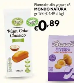 Maxi Supermercati Plum Cake Classico Mondo Natura offerta