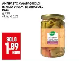 Panorama Antipasto campagnolo Pam offerta