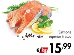 Maxi Supermercati Salmone superior fresco offerta