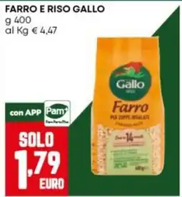 Panorama Farro Gallo offerta