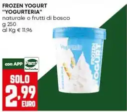Panorama Frozen Yogurt Yogurteria offerta