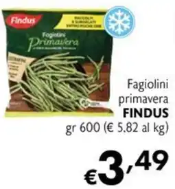 Maxi Supermercati Fagiolini primavera Findus offerta