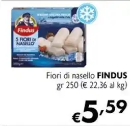 Maxi Supermercati Fiori di nasello FINDUS offerta