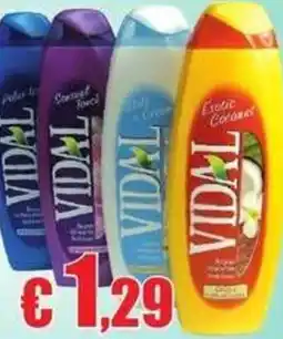 Casalandia Vidal bagni offerta