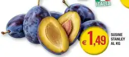 Palmarket Susine Stanley offerta