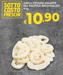 Bennet Anelli totano gigante del pacifico decongelati offerta