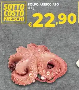 Bennet Polpo arricciato offerta