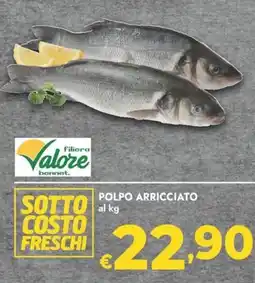 Bennet Polpo arricciato offerta