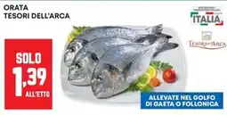 Panorama Orata Tesori dell'Arca offerta