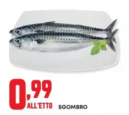 Panorama Sgombro offerta