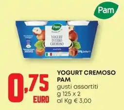 Pam Yogurt cremoso Pam offerta