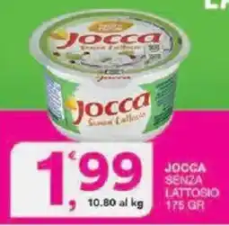 Sisa Jocca senza lattosio offerta