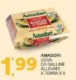 Sisa Amadori uova da galline allevate a terra offerta