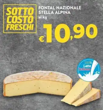 Bennet Fontal Nazionale Stella Alpina offerta
