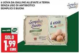 Panorama Uova Semplici e Buoni offerta
