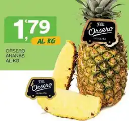 Sisa Ananas Orsero offerta