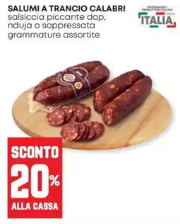 Panorama Salumi a trancio calabri offerta