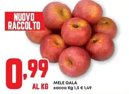 Pam Mele Gala offerta