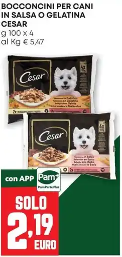 Pam Bocconcini per cani in salsa o gelatina Cesar offerta