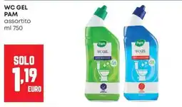 Panorama WC GEL Pam offerta