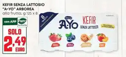 Panorama Kefir senza lattosio A.YO Arborea offerta