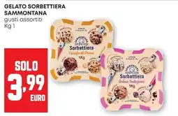Pam Gelato sorbettiera Sammontana offerta