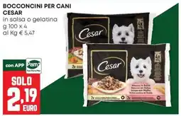 Panorama Bocconcini per cani Cesar offerta
