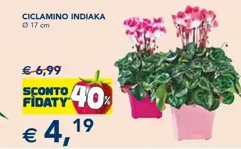 Esselunga Ciclamino indiaka offerta