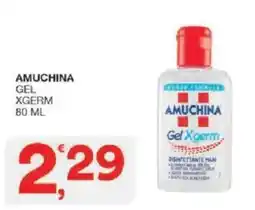 Sisa Amuchina gel xgerm offerta