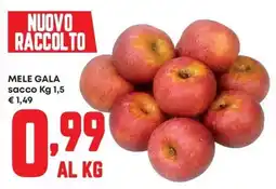 Panorama Mele Gala offerta